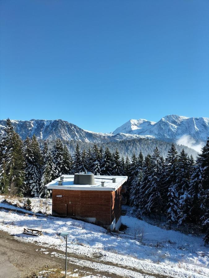 Appartement Le Sorbier A Chamrousse 3 Pieces 6 Personnes Aux Pieds Des Pistes ภายนอก รูปภาพ