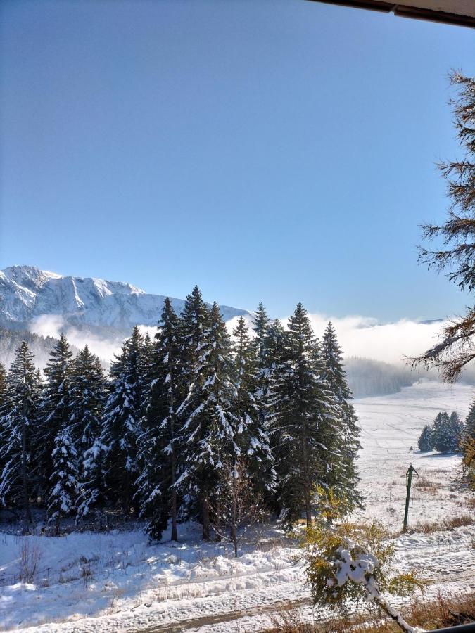 Appartement Le Sorbier A Chamrousse 3 Pieces 6 Personnes Aux Pieds Des Pistes ภายนอก รูปภาพ